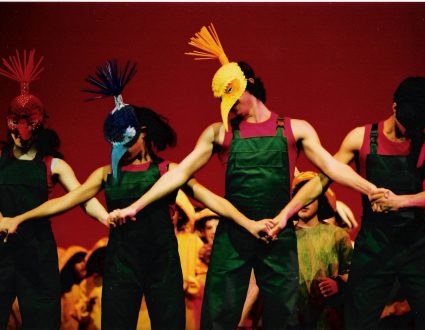 Pássaros e insectos (bailarinos) Floresta©Pedro Soares e de J. M. Oliveira